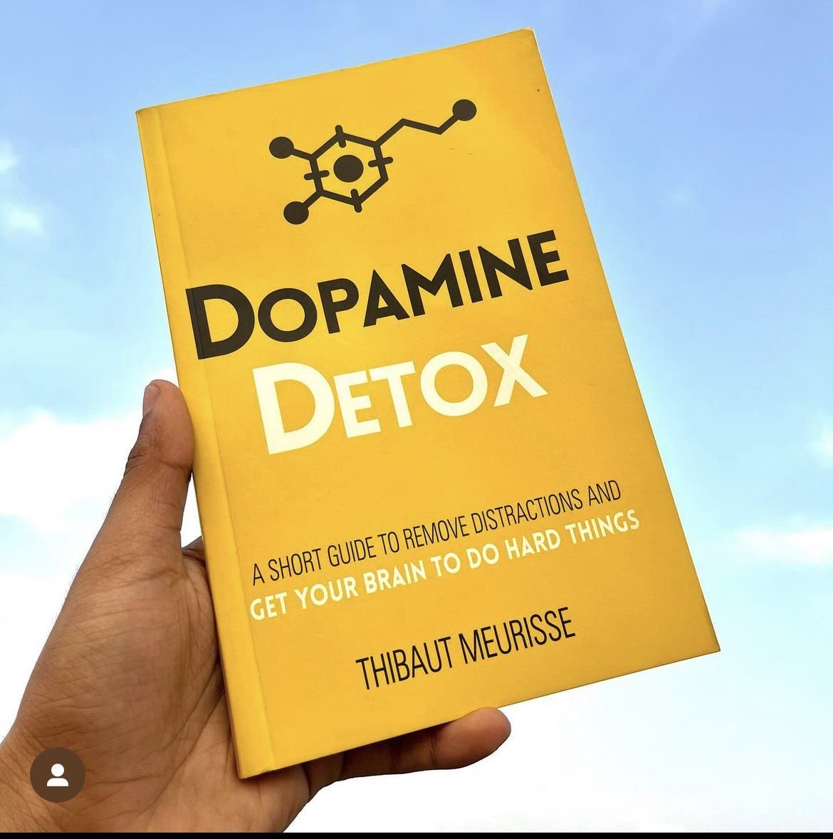 Dopamine Detox